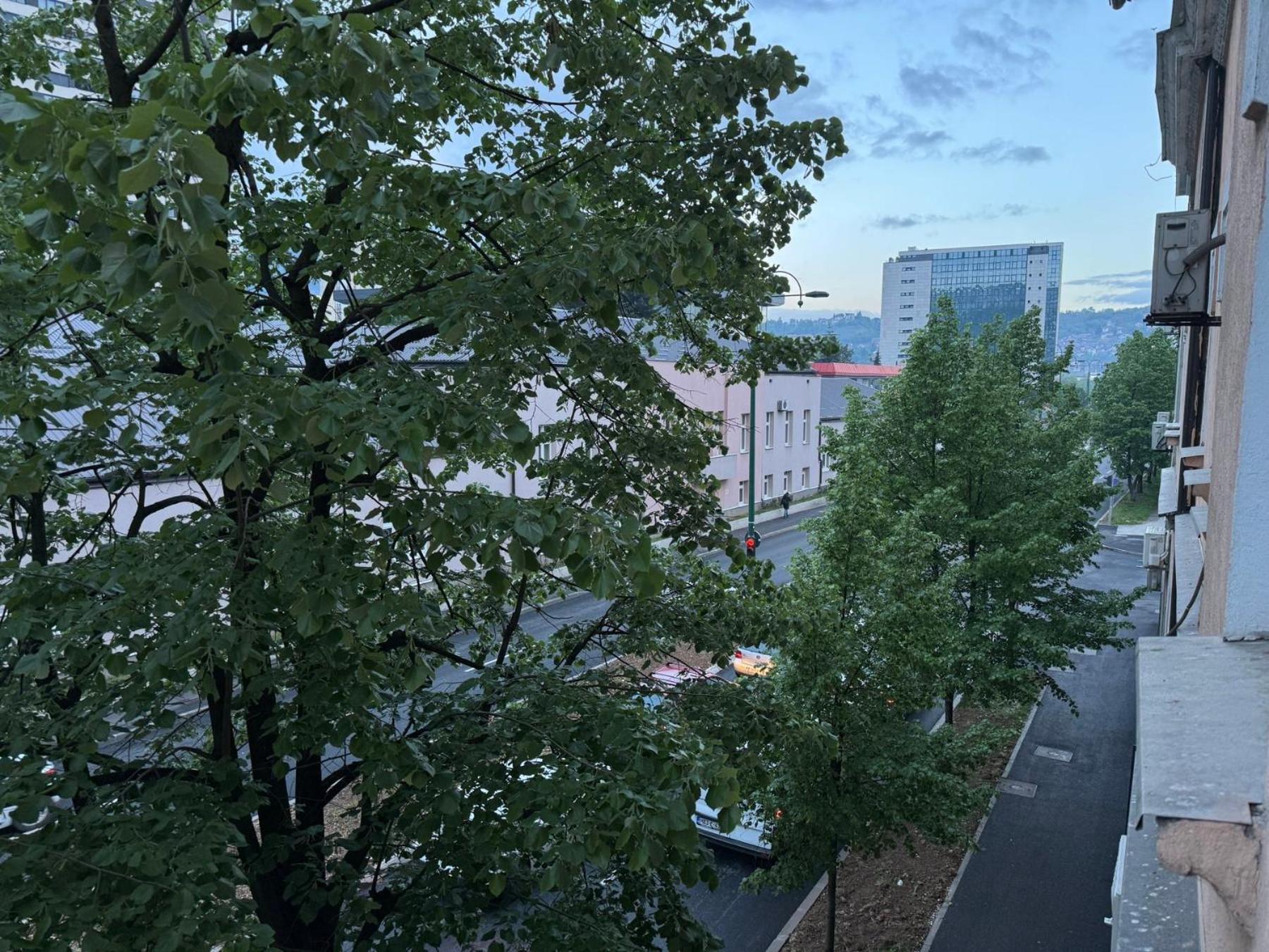 Apartment 1 Bedroom In Downtown *